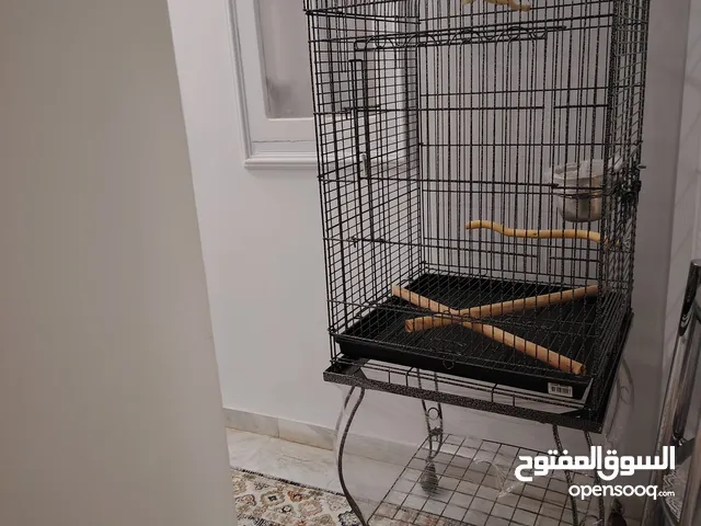 قفص ببغاء كبير جديد