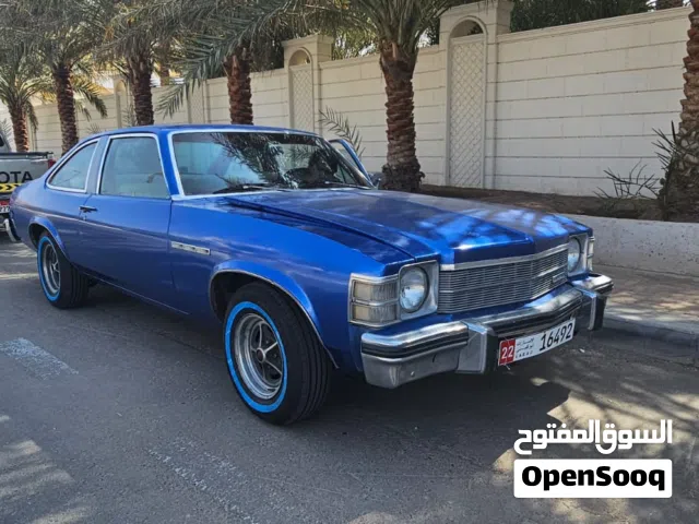 1976 بويك اخرى