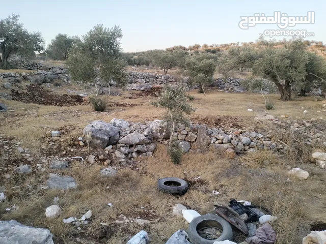Farm Land for Sale in Tulkarm Kafr AlLabad