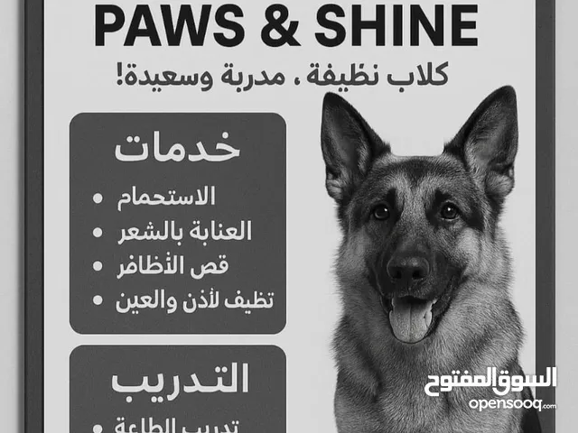 Dog services خدمات للكلاب