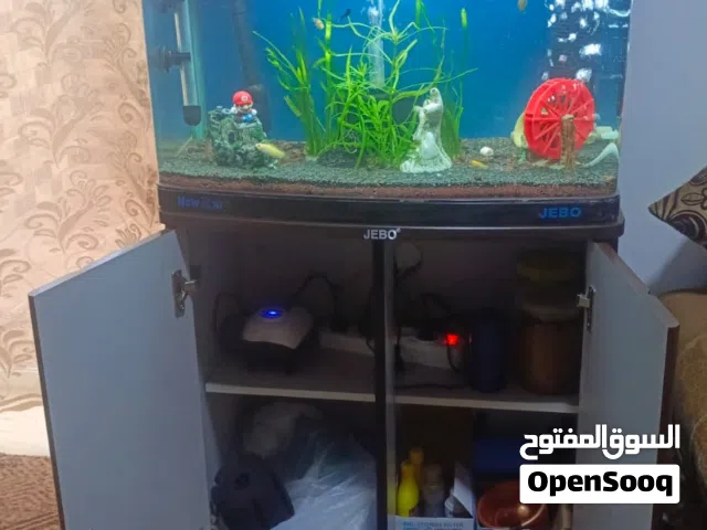 حوض سمك زينه كبير للبيع