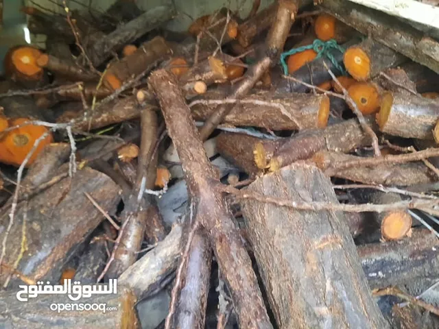 حطب للبيع احجام مختلفه
