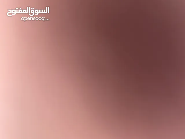معين عطاالله