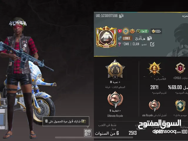 Pubg Accounts and Characters for Sale in Aqaba