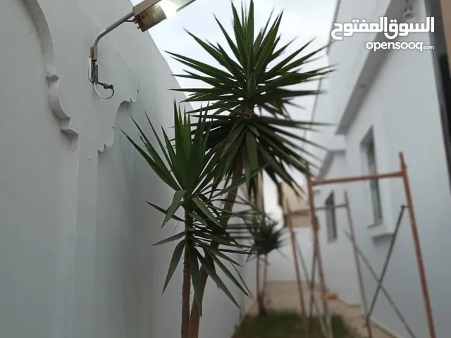 300m2 More than 6 bedrooms Villa for Sale in Benghazi Al Hawary