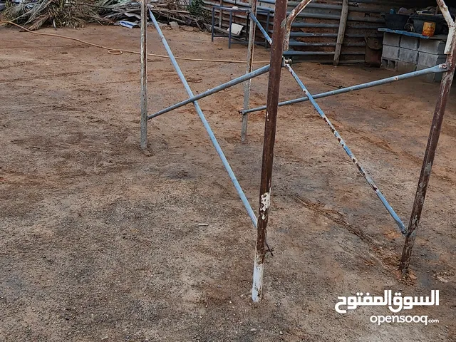 سقالة نظيف حجم كبير