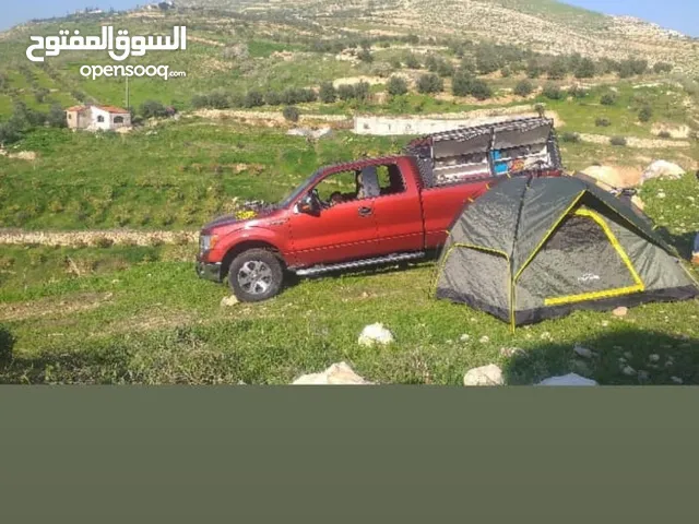 Used Ford F-150 in Amman