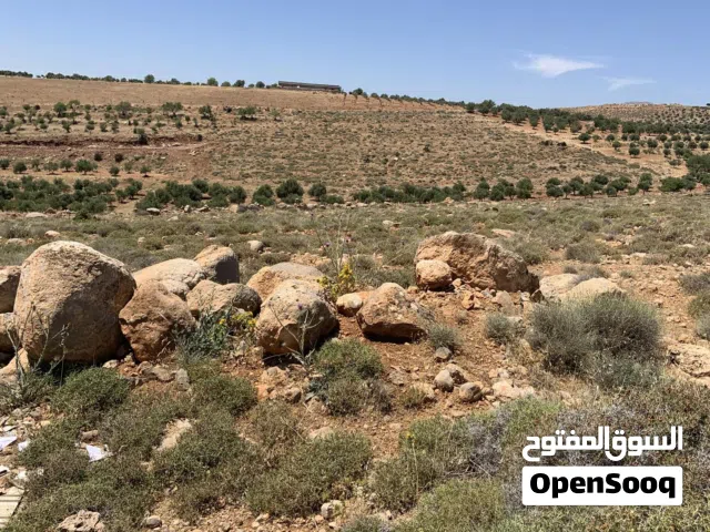 Mixed Use Land for Sale in Rif Dimashq E'sem