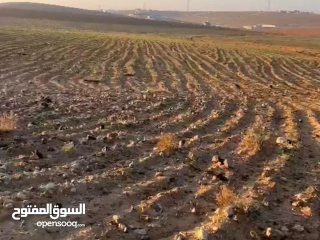 Farm Land for Sale in Amman Abu Alanda