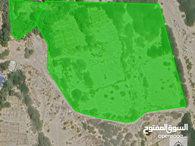 أرض زراعية ملك القعيطي قرابة 9 فدان في الشحر