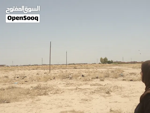 Farm Land for Sale in Saladin Tikrit