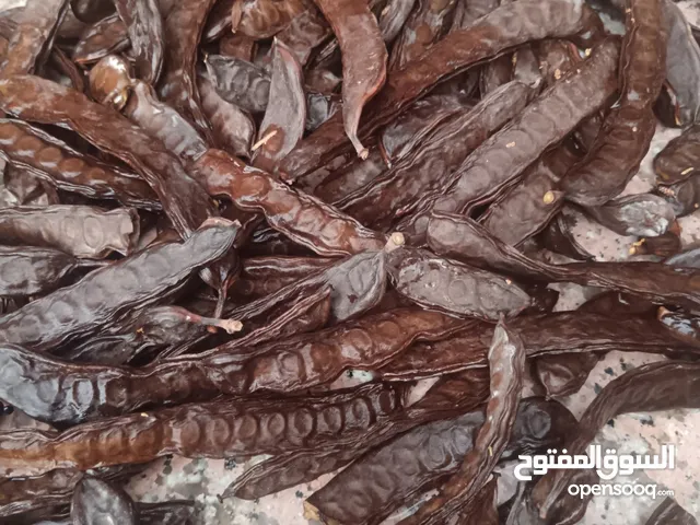 خروب للبيع