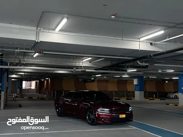 Used Dodge Charger in Muscat