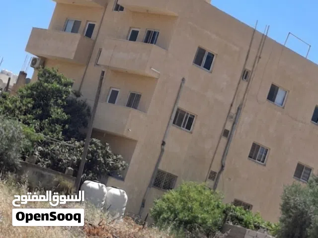 Building for Sale in Irbid Sahara Circle