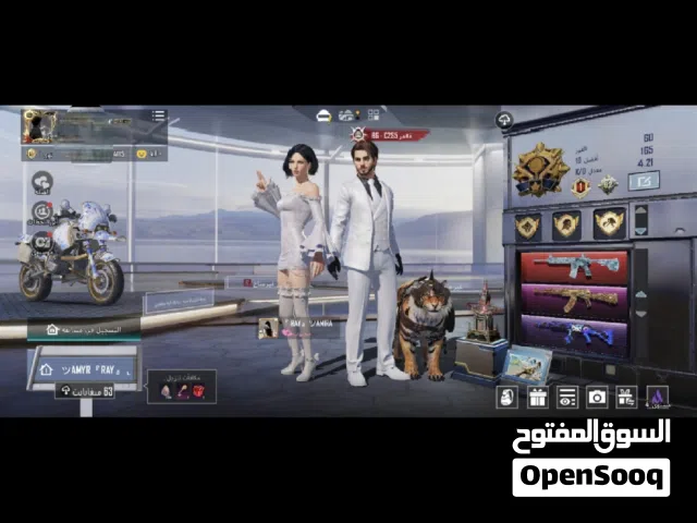 Pubg Accounts and Characters for Sale in Ramtha