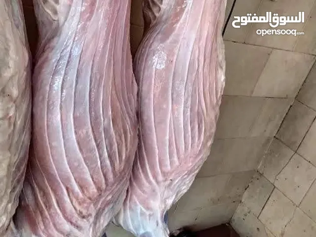 لحام جزار متنقل داخل مادبا وضواحيها