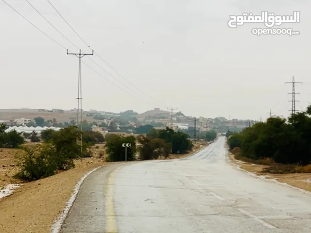 Residential Land for Rent in Jericho Al-Auja