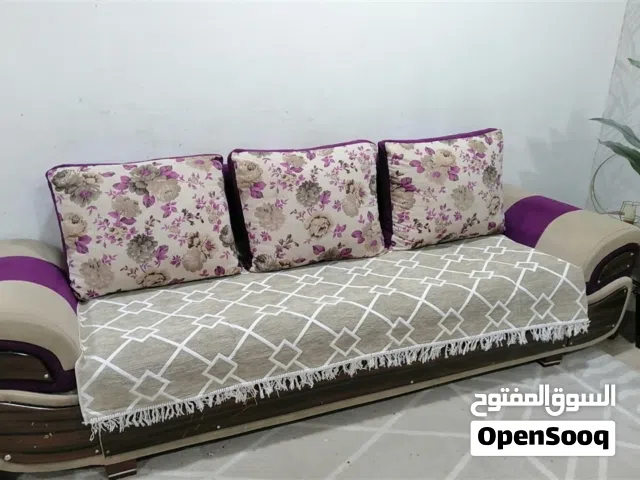 تخم قنفات تركي للبيع بسعر مناسب