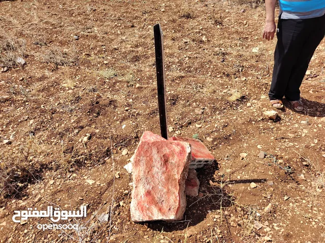 Farm Land for Sale in Irbid Sal