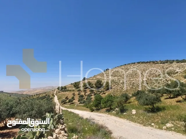 Residential Land for Sale in Amman Iraq Al Ameer