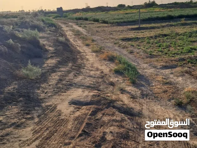 السلام عليكم ارض في منطقة سبع قصور الاوسمه قريبه على مزارع الحميديه