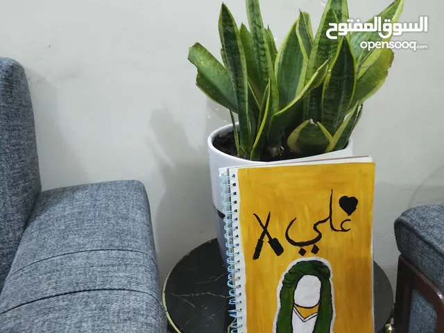 رسم الأمام علي (عليه السلام)