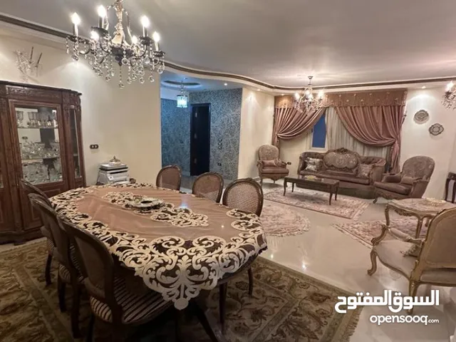 30 m2 Studio Apartments for Rent in Cairo Nasr City