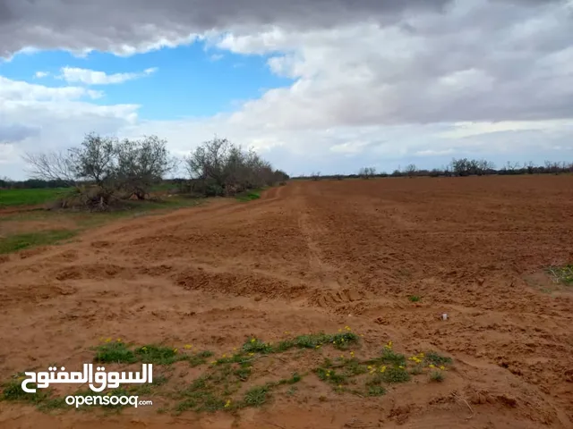 Farm Land for Sale in Tripoli Espiaa