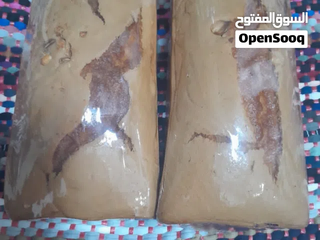 باسطي زمني