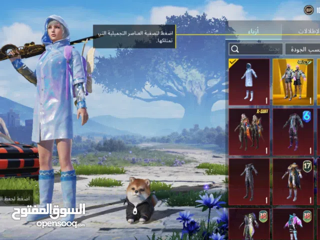 Pubg Accounts and Characters for Sale in Istanbul