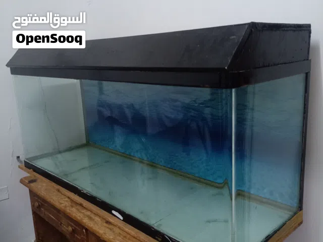 Aquarium tank and filter available for sale