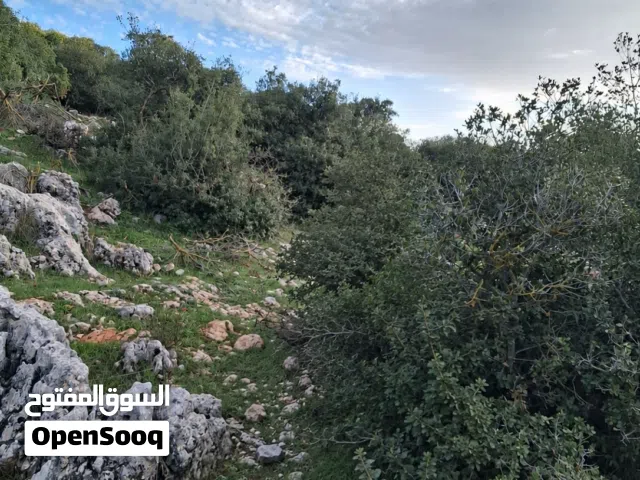 Mixed Use Land for Sale in Ajloun Alqala'a