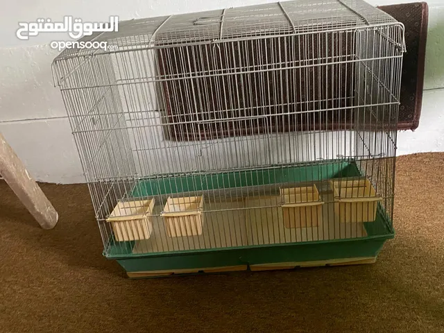 اقفاص عصافير