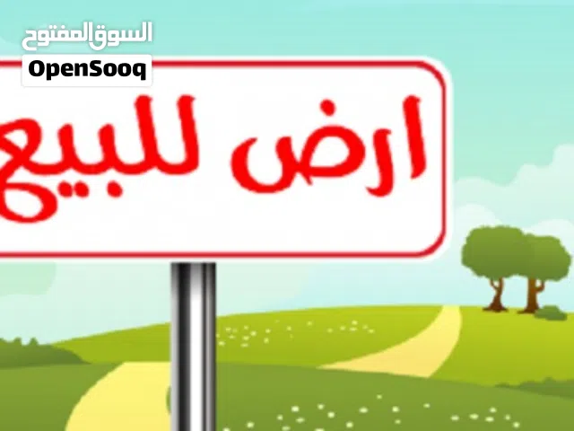 ارض للبيع السراج بجانب حوازة لعنب