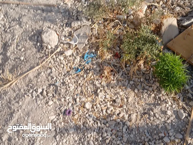 حطب للبيع نوع لوز