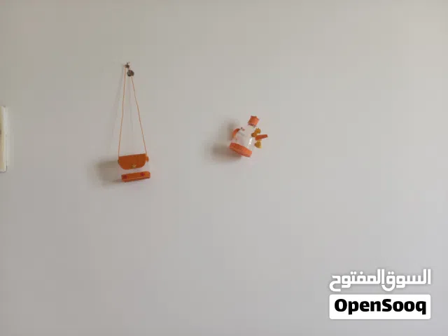 مصممة اكسسوارات