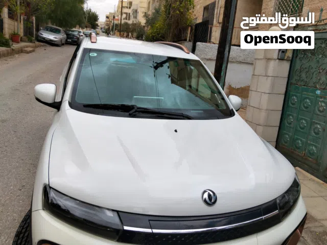 2022, دونج فينج, بوكس