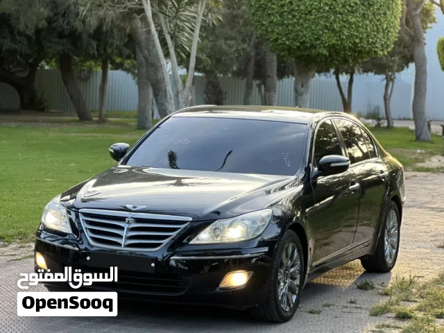 2010 Genesis Other