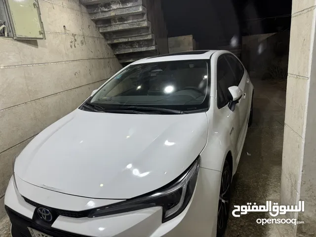 كورلا هايبرد 2023