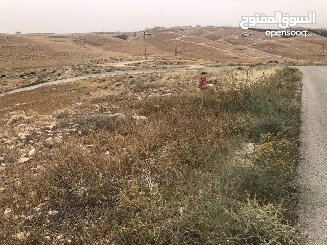Residential Land for Sale in Amman Al Jizah