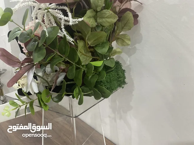 ستاند شبكه