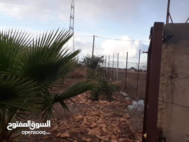 Farm Land for Sale in Sidi-Bel-Abbes Other