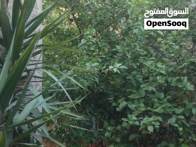 شقة سكنية للبيع