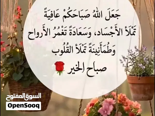 مطلوب ممول شريك لمشروع قائم بمبلغ 50 الف