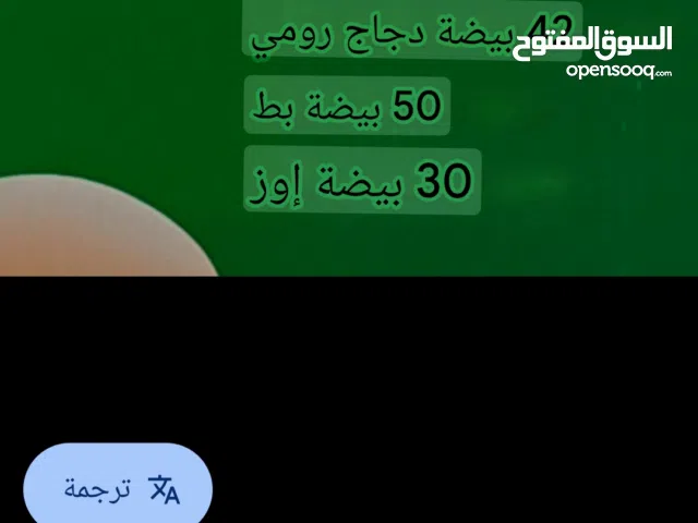 مكينه تفريخ