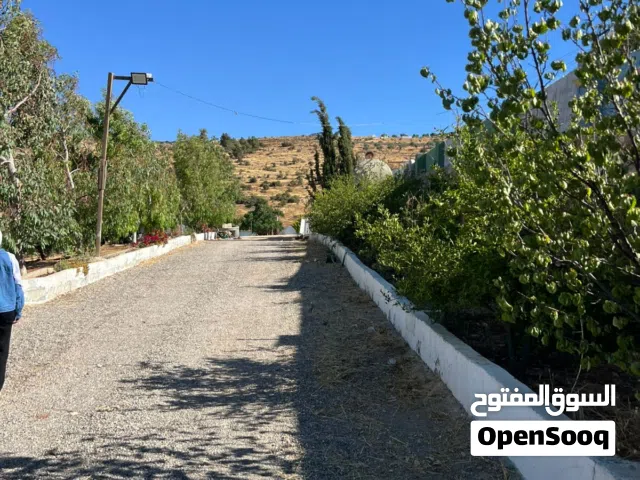1 Bedroom Farms for Sale in Jerash Unaybah