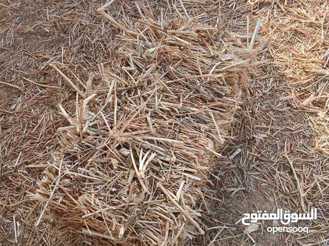 خرطان للبيع
