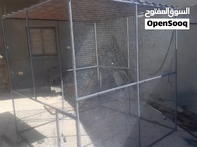 سزنة طيور حاجة منظمة وقوية