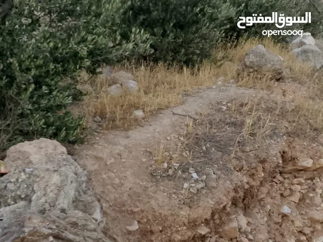 قطعة أرض طابو للبيع