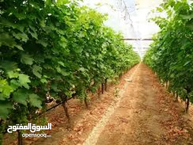 Farm Land for Sale in Salt Al Balqa'